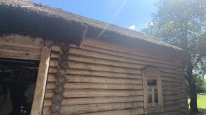 Константиново. Родина Сергея Есенина. Березы, река и просторы. Рязанская область.