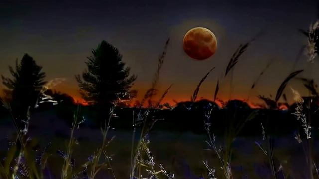 Есть берёзовый рай смотреть онлайн