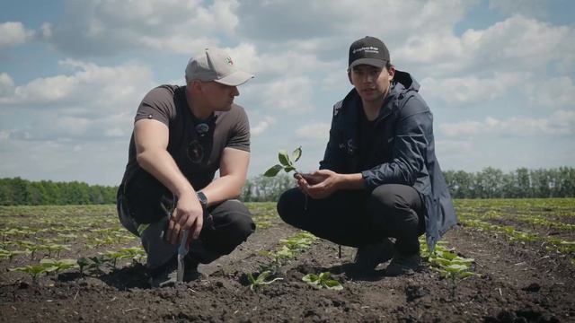 УЧАСТОК С СИЛЬНЫМ ПРОВОЛОЧНИКОМ. КАК РАБОТАЕТ КРУЙЗЕР® Форс? смотреть онлайн
