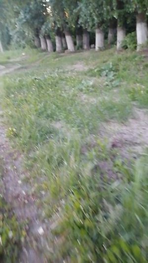 наша первая остановка