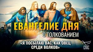 «Я посылаю вас, как овец среди волков» / Евангелие дня