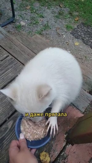 Я люблю всех животных😇