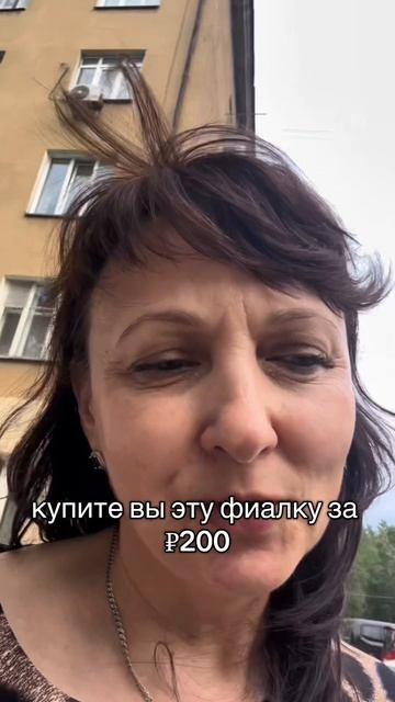 Фиалки😊