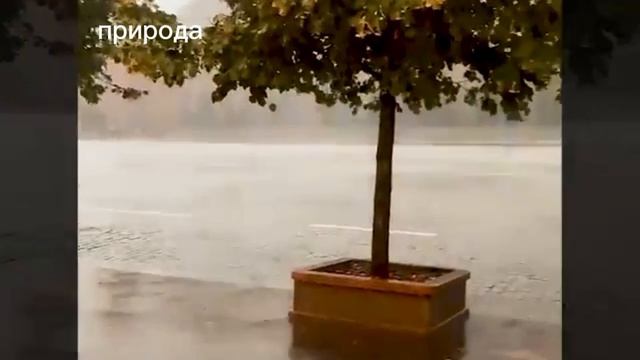 МОСКВУ ЗАТОПИЛО. ТРОПИЧЕСКИЙ ЛИВЕНЬ смотреть онлайн