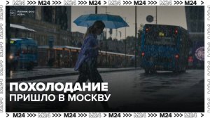 Похолодание пришло в Москву - Москва 24