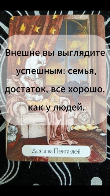 Друзья, Говорят Таро Урчащие Котики..Мурррр))) Карта дня. Триплет+дно колоды. Всем Добра!🥰😻💫💖 смотреть онлайн