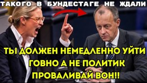 АЛИСА ВАЙДЕЛЬ РАЗНЕСЛА ФРИДРИХА МЕРЦА ! Такого никто не ждал!(ШОК)