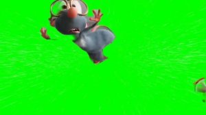 Lula falls footage