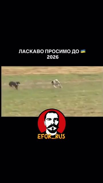 заряженный ухилянт смотреть онлайн