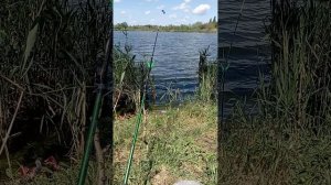 ОТДЫХ И РЫБАЛКА
