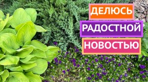 Друзья, я приняла важное решение🌿