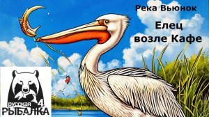 РР4 Елец возле кафе на р. Вьюнок.