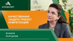 Ягодные культуры сейчас практически не защищены биологически — эксперт