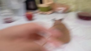 VID20260616202303.mp4