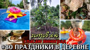 #80 гости в деревне / шашлыки / огородные дела
