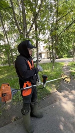Контент для подписчиков-вегетарианцев