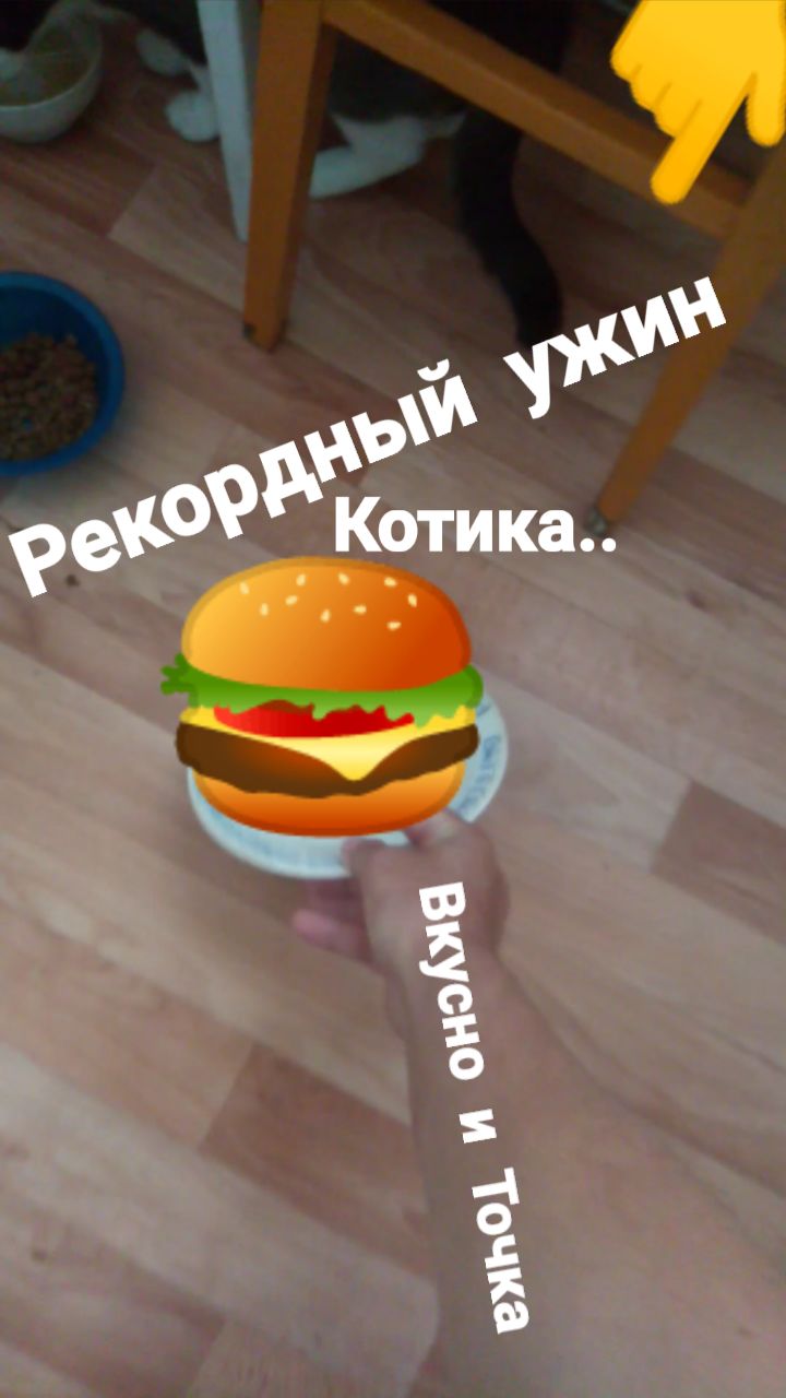 Дымок, Кошка Фрося, вкусно и точка, рекордный ужин от шефа