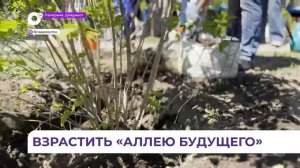 В Покровском парке во Владивостоке высадили «Аллею будущего»