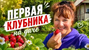 🍓 Дождались! Первая клубника на даче — пробуем вместе с мамой