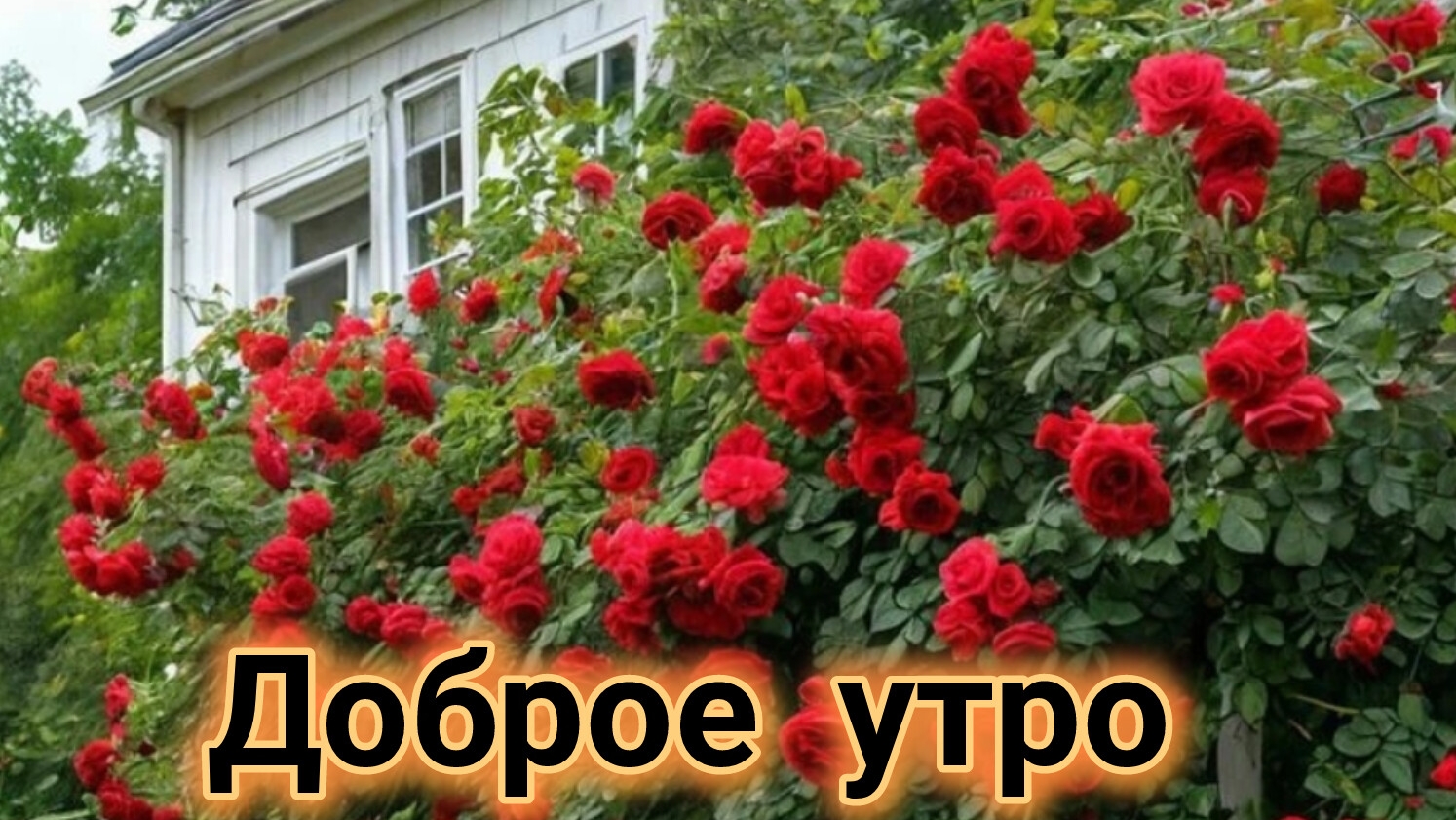 Доброе летнее утро! Красивая музыкальная открытка.