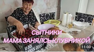 САМВЕЛ АДАМЯН, СЫТНИКИ, МАМА ЗАНЯЛАСЬ КЛУБНИКОЙ..