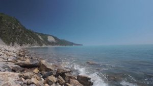 Прасковеевка.Природа.Июнь