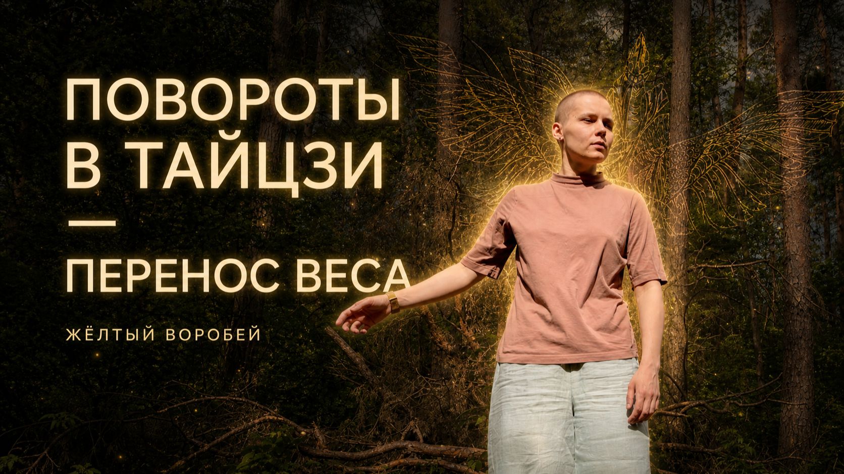 Повороты в тайцзи: перенос веса и свобода движения | Жёлтый Воробей