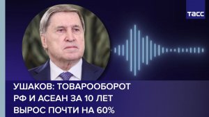 Ушаков: товарооборот РФ и АСЕАН за 10 лет вырос почти на 60%