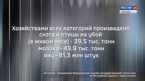 Крым в Цифрах: выпуск 16.06.2026