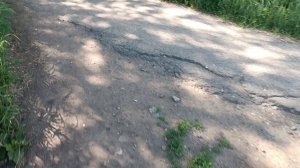 Анекдоты от автора