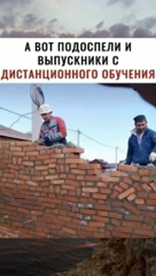 Шучу о дистанционном обучении