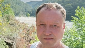 Псы и волки