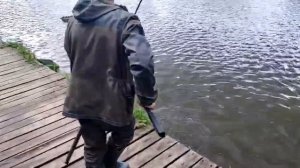Рыбка поклёвывает
