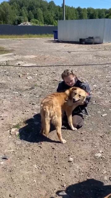 Рыжуля 🥰 Безумно нежная и стеснительная малышка