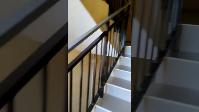 15997577595405