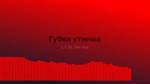 Губки утиные
