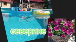 жизнь на крайнем севере/жара/плохо даже растениям