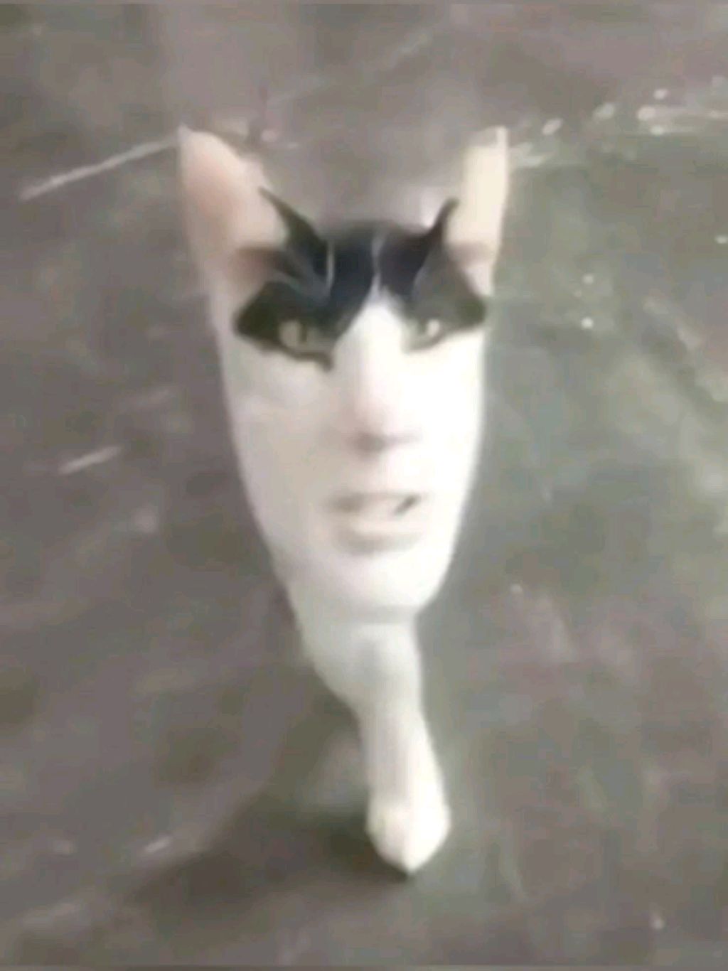 crazy girl смотреть онлайн