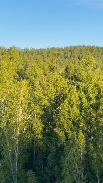 Окрестности Ильинки… красота… Тыва… смотреть онлайн