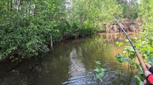 июнь на рыбалку плюнь