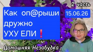 2 часть. Как оп@рыши ДРУЖНО УХУ ЕЛИ❗️