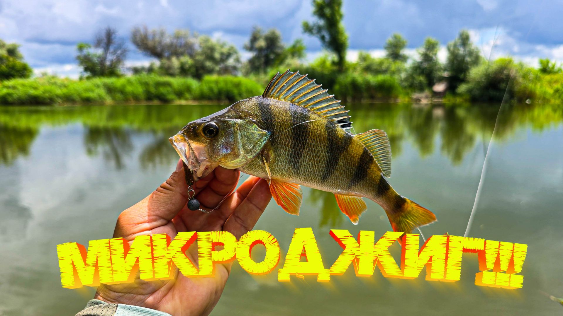 Окунь на МИКРОДЖИГ перед дождём! УСПЕЛ наловить 👍 смотреть онлайн