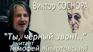 Виктор Соснора - «Ты, чёрный звон!..» (читает Тимофей Животовский)