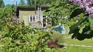 22-06-2026.Дача..Посадила хосты!Пожарила блинов!И начали разбирать Сарай😁(12.06.-14.06.26)