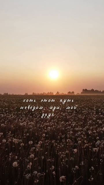 Красиво смотреть онлайн