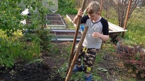 Болталка, часть 2. Зоопарк, стих от Дениса и от меня жизненные истории