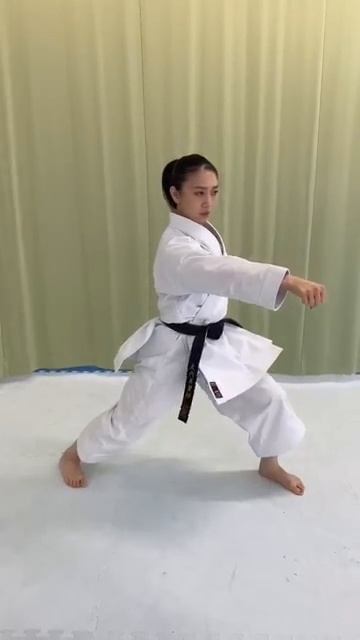 Power comes from precision Every Gyakuzuki is a step toward mastery