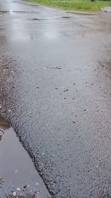 1000133807.mp4 смотреть онлайн