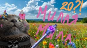 Милая Мила! Песня на 20 котят! Кошка Мила. Говорящая кошка