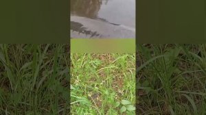 поездка в лес🌲🌳прокатилась на лодке🚣♂️